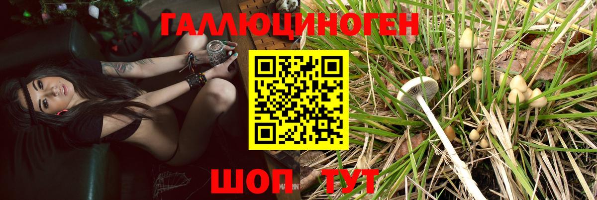 Галлюциногенные грибы мухоморы Сатка