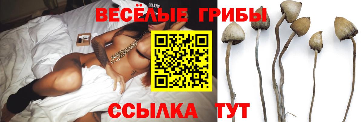 Галлюциногенные грибы прущие грибы  Галлюциногенные грибы Psilocybe  Вход с VPN  Сатка 